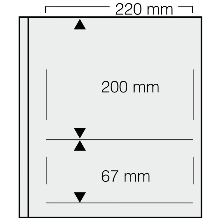 Folha DUAL Blanko Nr. 661